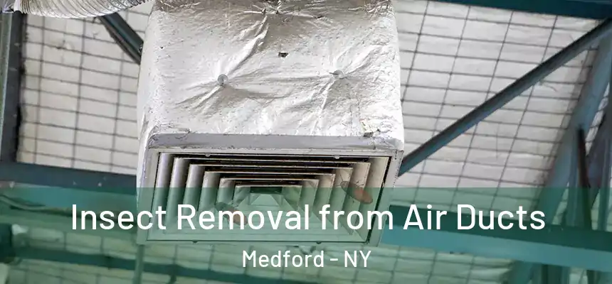 Insect Removal from Air Ducts Medford - NY