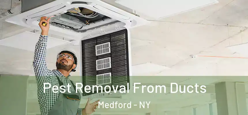Pest Removal From Ducts Medford - NY