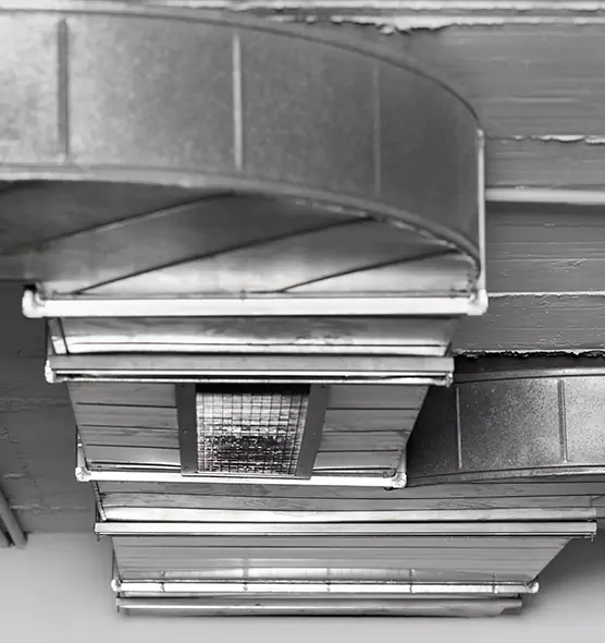 Professional Air Duct Pest Removal in Medford, NY