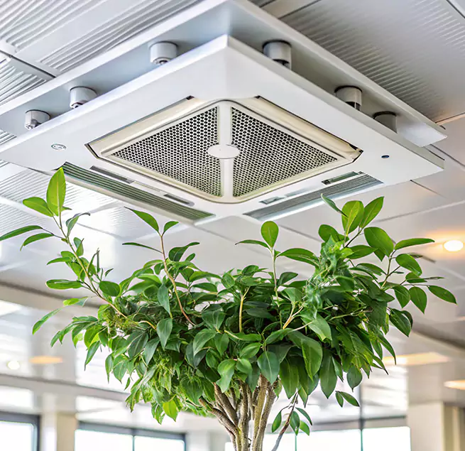 Why Homeowners & Businesses Trust Us in Medford, NY