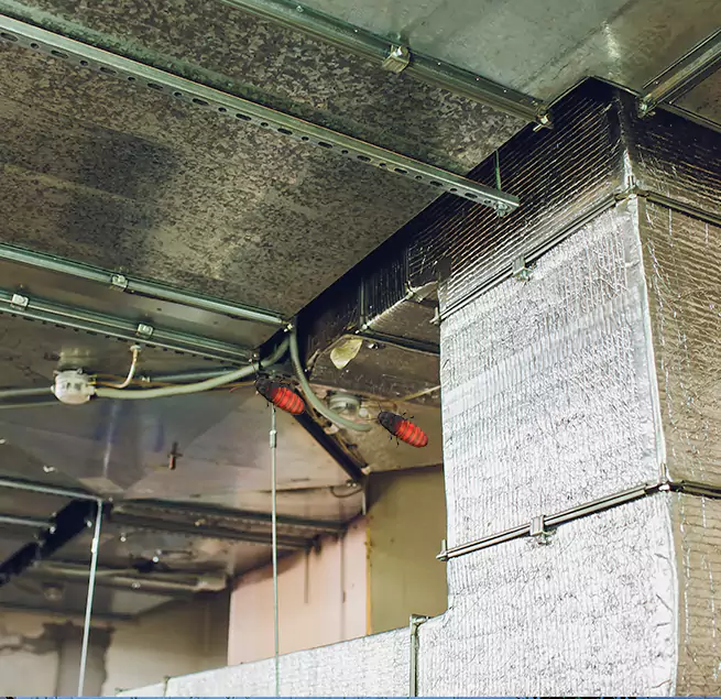 Why Homeowners & Businesses Trust Us Medford, NY?