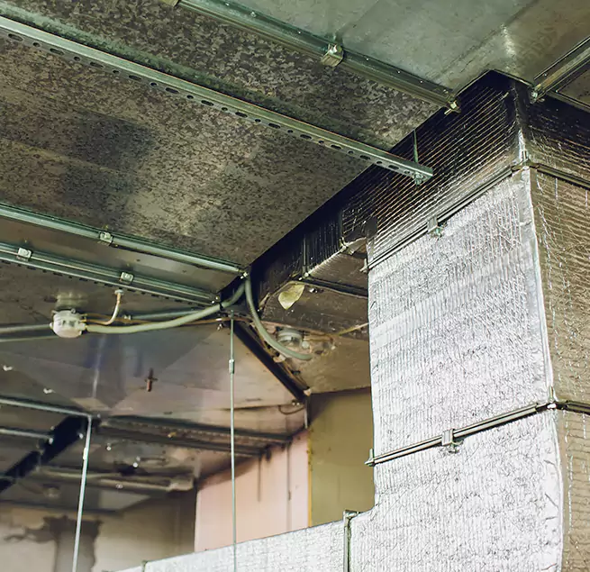 Why Homeowners & Businesses Trust Us in Medford, NY?